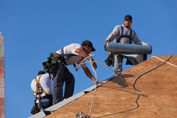 Best Roof Leak Repair  in Mount Hope, WV