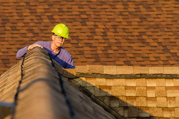 Best Roof Gutter Cleaning  in Mount Hope, WV